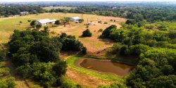 Ranch-Style Dream Home on 12+ Acres with Workshop in Dale