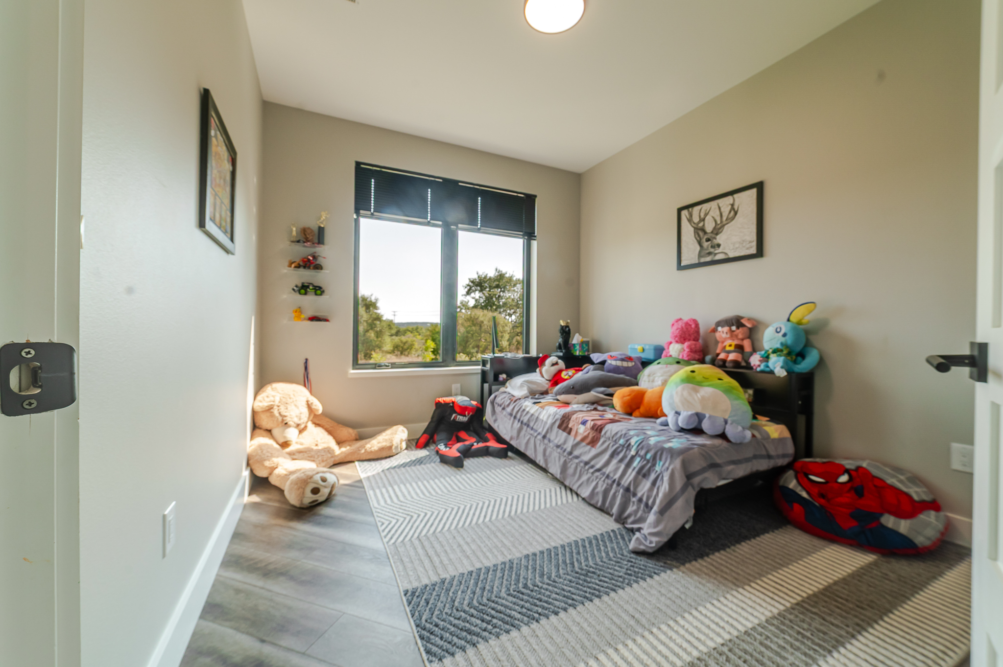 23801 Oscar Rd, Spicewood, Texas 78669